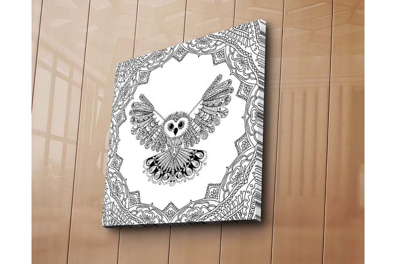 Canvastavla 45x45 cm - Uggla med utsträckta vingar i detaljrik ram - Svart / Vitt - Inredning - Tavlor & konst - Canvastavlor