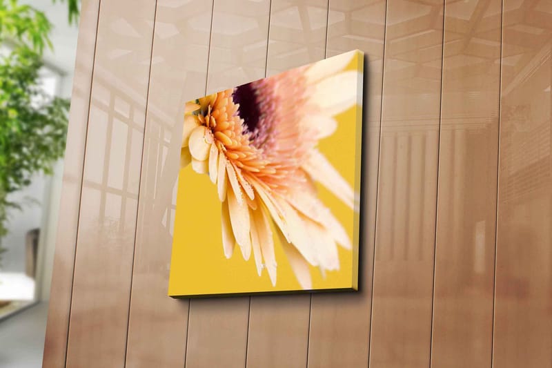 Canvastavla 45x45 cm - Vacker blomma med ljusa kronblad och droppar av vatten - Ljusrosa / Gul / Lila - Inredning - Tavlor & konst - Canvastavlor