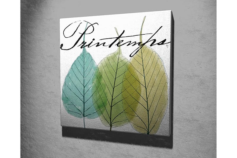 Canvastavla 45x45 cm - Vackra blad i olika gröna nyanser - Grön / Ljusblå / Gulgrön - Inredning - Tavlor & konst - Canvastavlor