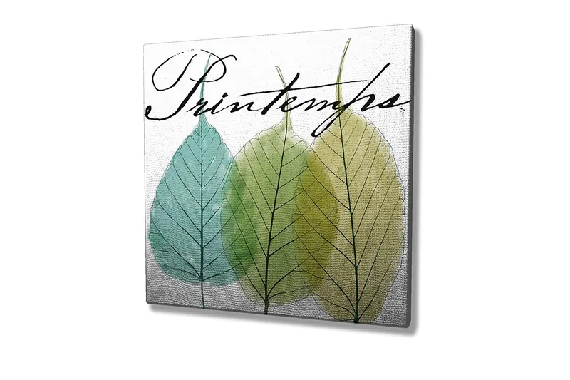 Canvastavla 45x45 cm - Vackra blad i olika gröna nyanser - Grön / Ljusblå / Gulgrön - Inredning - Tavlor & konst - Canvastavlor