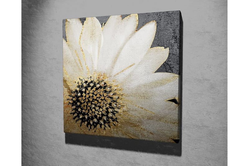 Canvastavla 45x45 cm - Vit blomma med svart mittpunkt och guldiga detaljer - Vit / Svart / Guld - Inredning - Tavlor & konst - Canvastavlor