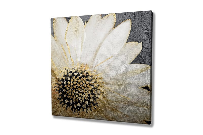 Canvastavla 45x45 cm - Vit blomma med svart mittpunkt och guldiga detaljer, Vit / Svart / Guld
