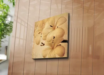 Canvastavla 45x45 cm - Vit orkidé med mjuka blomblad - Vit / Beige / Brun - Inredning - Tavlor & konst - Canvastavlor