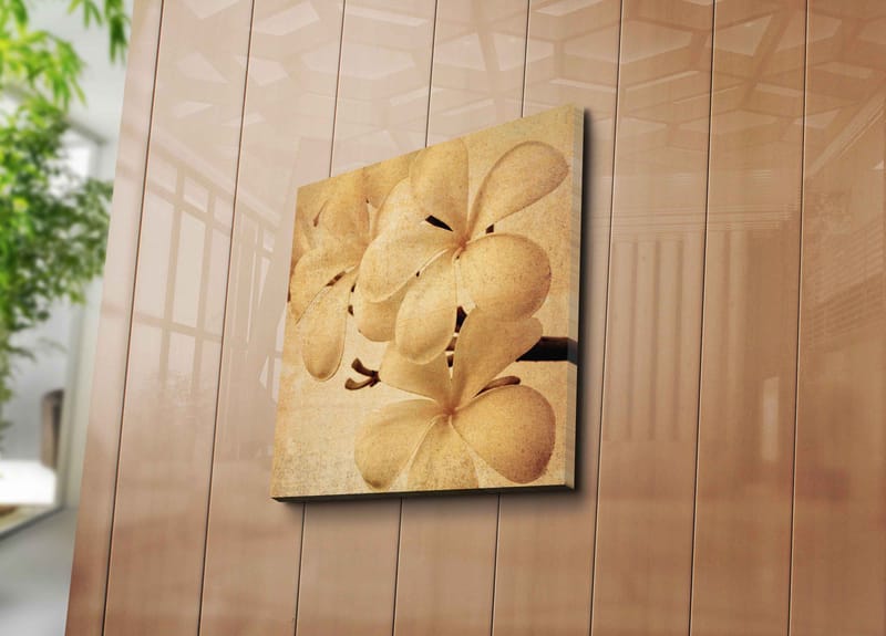 Canvastavla 45x45 cm - Vit orkidé med mjuka blomblad - Vit / Beige / Brun - Inredning - Tavlor & konst - Canvastavlor