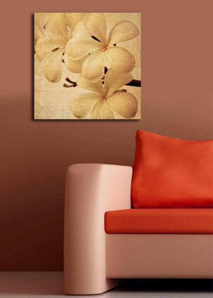 Canvastavla 45x45 cm - Vit orkidé med mjuka blomblad - Vit / Beige / Brun - Inredning - Tavlor & konst - Canvastavlor