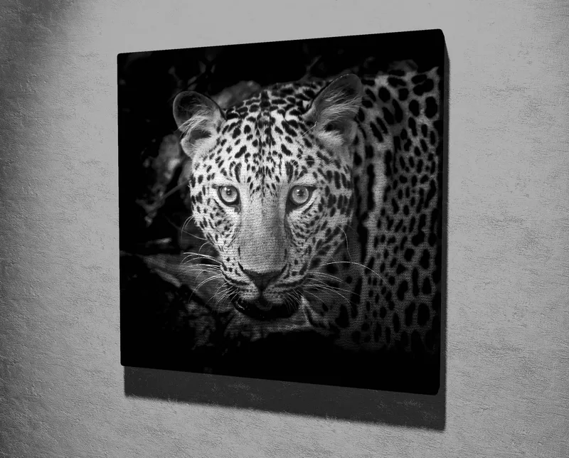 Canvastavla 45x45 cm - Porträtt av en leopard med intensiva ögon - Svart / Vit / Grå - Inredning - Tavlor & konst - Canvastavlor
