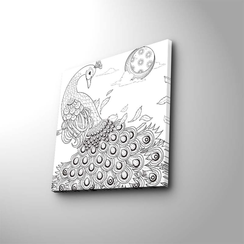 Canvastavla 45x45 cm - Påfågel med detaljerad fjäderdräkt - Svart / Vitt - Inredning - Tavlor & konst - Canvastavlor