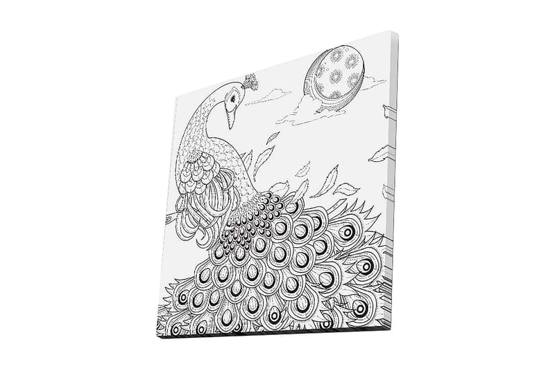 Canvastavla 45x45 cm - Påfågel med utspridda fjädrar i en detaljrik komposition - Svart / Vitt - Inredning - Tavlor & konst - Canvastavlor