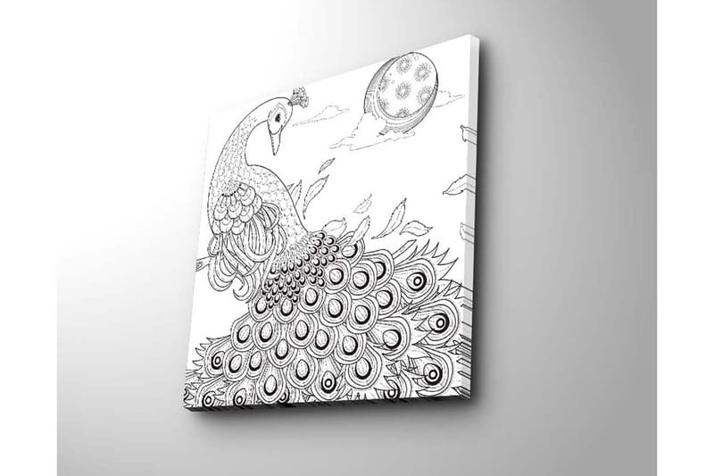 Canvastavla 45x45 cm - Påfågel med utspridda fjädrar i en detaljrik komposition - Svart / Vitt - Inredning - Tavlor & konst - Canvastavlor