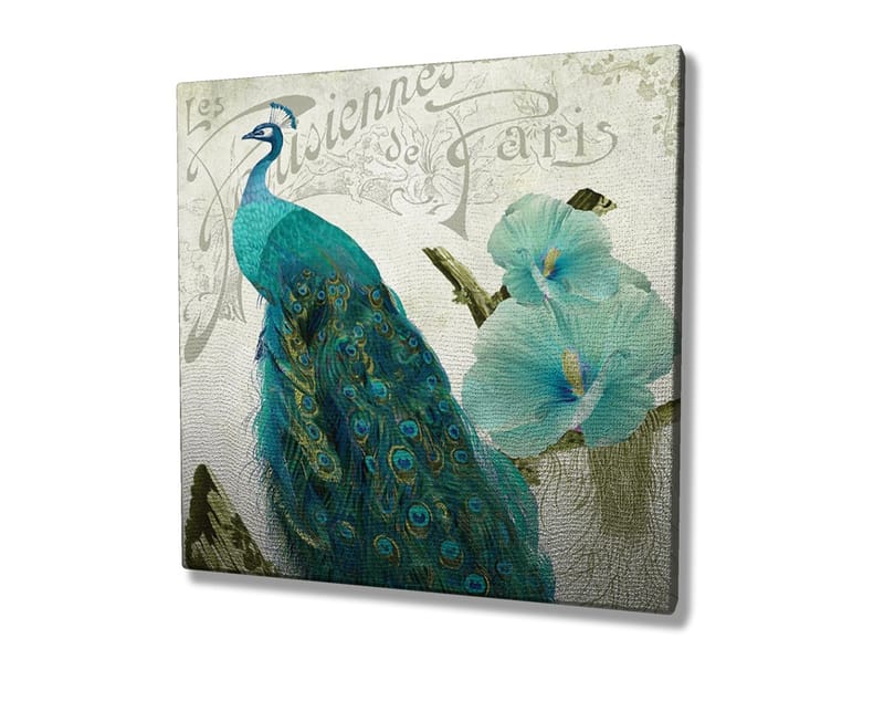 Canvastavla 45x45 cm - Praktfull påfågel med detaljerade fjädrar och blommor i bakgrunden - Turkos / Grön / Vit - Inredning - Tavlor & konst - Canvastavlor