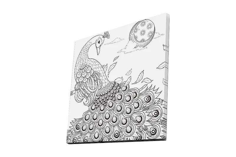 Canvastavla 45x45 cm - Påfågel med utspridda fjädrar i en detaljrik komposition, Svart / Vitt