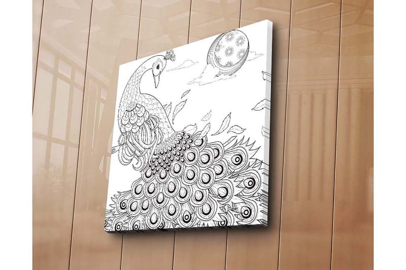 Canvastavla 45x45 cm - Påfågel med utspridda fjädrar i en detaljrik komposition - Svart / Vitt - Inredning - Tavlor & konst - Canvastavlor