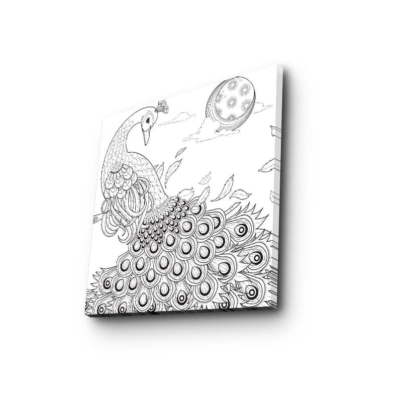Canvastavla 45x45 cm - Påfågel med detaljerad fjäderdräkt, Svart / Vitt