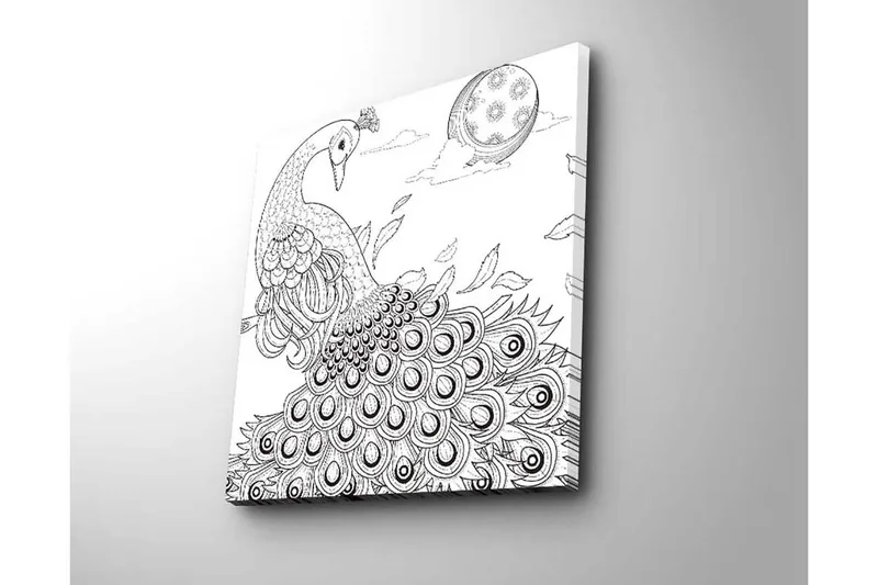 Canvastavla 45x45 cm - Påfågel med utspridda fjädrar i en detaljrik komposition - Svart / Vitt - Inredning - Tavlor & konst - Canvastavlor