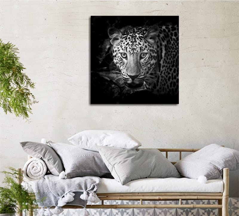 Canvastavla 45x45 cm - Porträtt av en leopard med intensiva ögon - Svart / Vit / Grå - Inredning - Tavlor & konst - Canvastavlor