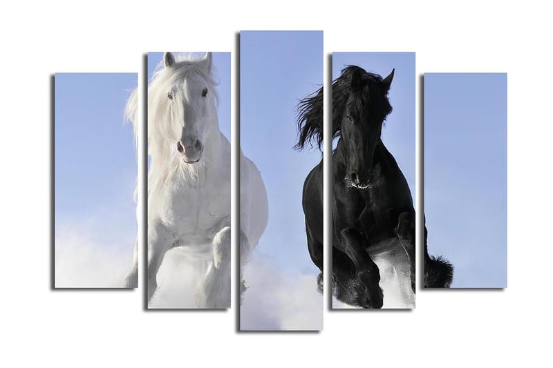 Canvastavla 5-pack Flerfärgad - 19x60 cm - Inredning - Tavlor & konst - Canvastavlor
