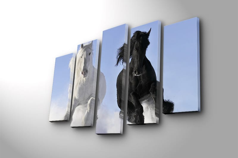 Canvastavla 5-pack Flerfärgad - 19x60 cm - Inredning - Tavlor & konst - Canvastavlor