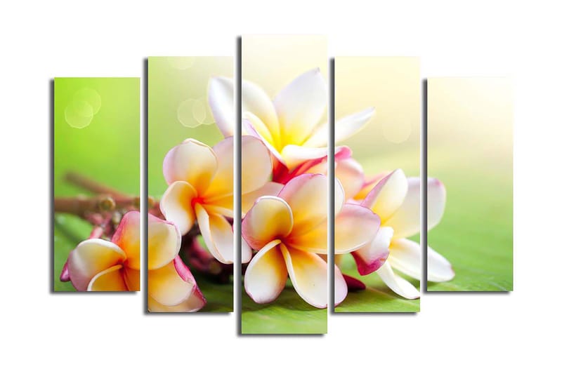 Canvastavla 5-pack Flerfärgad - 19x60 cm - Inredning - Tavlor & konst - Canvastavlor