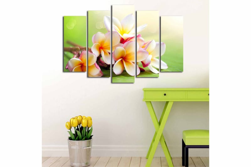 Canvastavla 5-pack Flerfärgad - 19x60 cm - Inredning - Tavlor & konst - Canvastavlor