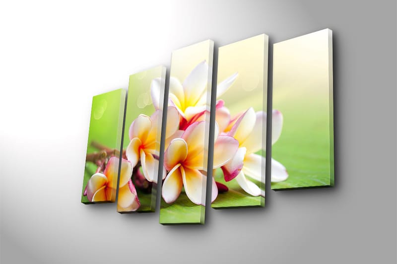 Canvastavla 5-pack Flerfärgad - 19x60 cm - Inredning - Tavlor & konst - Canvastavlor
