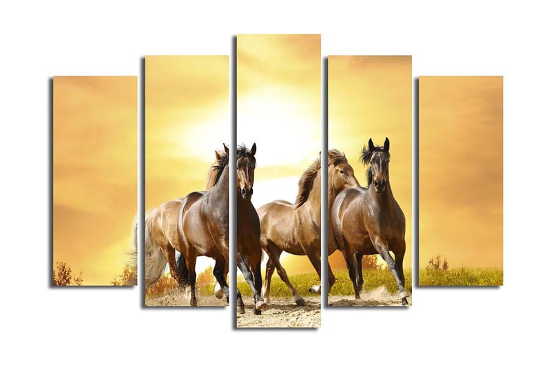 Canvastavla 5-pack Flerfärgad - 19x60 cm - Inredning - Tavlor & konst - Canvastavlor