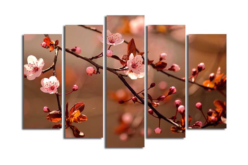 Canvastavla 5-pack Flerfärgad, 19x60 cm