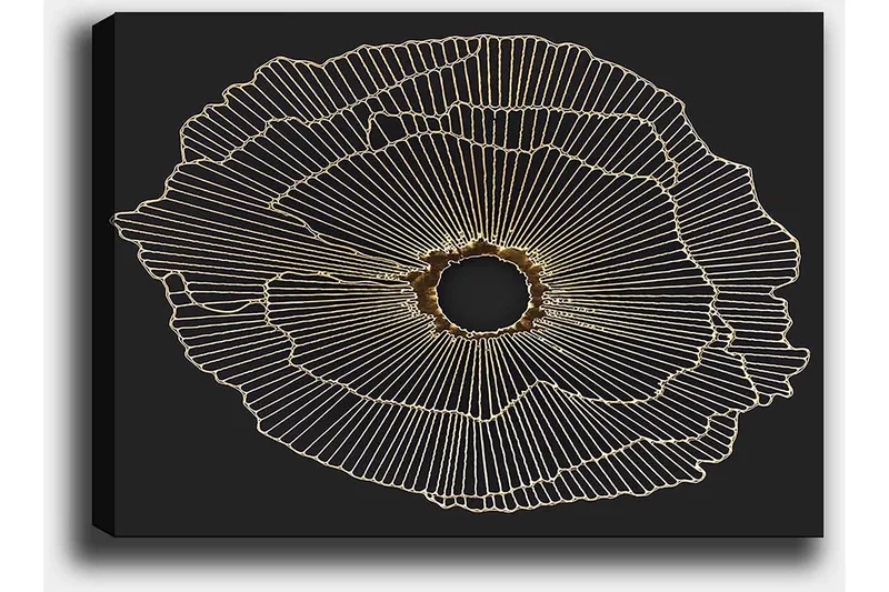 Canvastavla 70x100 cm - Abstrakt blomma med guldlinjer på svart bakgrund - Guld / Svart - Inredning - Tavlor & konst - Canvastavlor