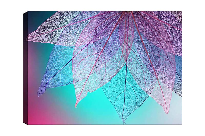 Canvastavla 70x100 cm - Abstrakt komposition av genomskinliga blad med en harmonisk färgpalett, Lila / Turkos / Rosa