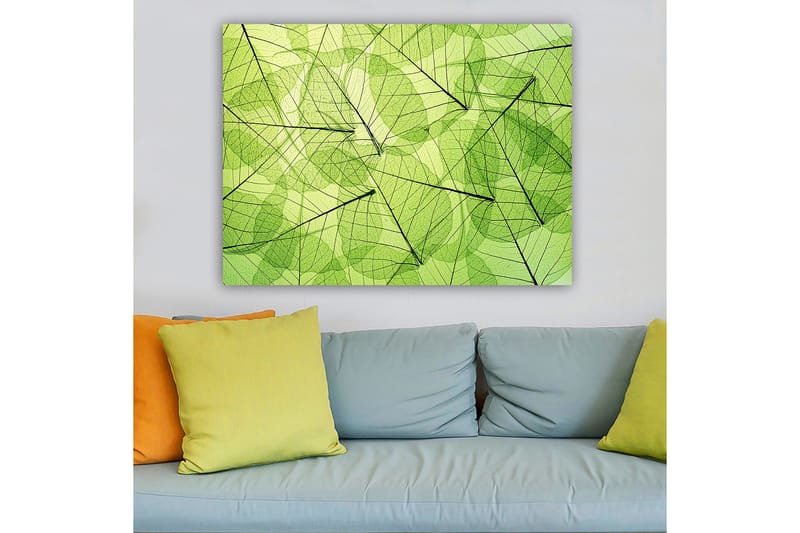 Canvastavla 70x100 cm - Abstrakt komposition av genomskinliga löv i olika nyanser av grönt - Ljusgrön / Mörkgrön / Svart - Inredning - Tavlor & konst - Canvastavlor