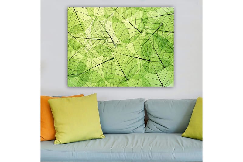 Canvastavla 70x100 cm - Abstrakt komposition av genomskinliga löv i olika nyanser av grönt - Ljusgrön / Mörkgrön / Svart - Inredning - Tavlor & konst - Canvastavlor