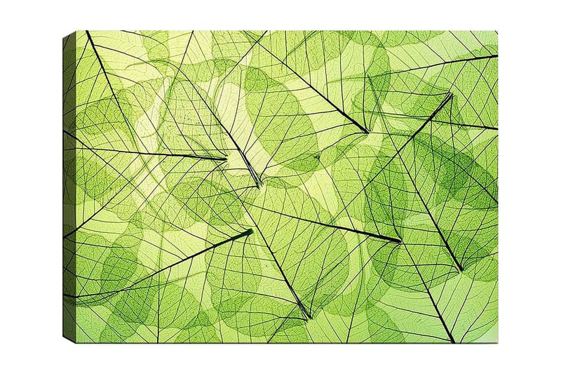 Canvastavla 70x100 cm - Abstrakt komposition av genomskinliga löv i olika nyanser av grönt - Ljusgrön / Mörkgrön / Svart - Inredning - Tavlor & konst - Canvastavlor
