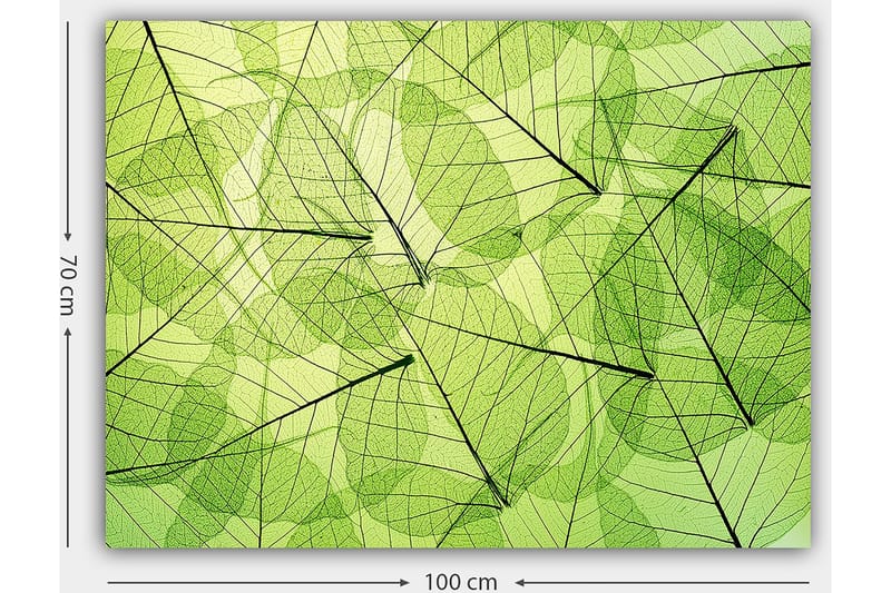 Canvastavla 70x100 cm - Abstrakt komposition av genomskinliga löv i olika nyanser av grönt - Ljusgrön / Mörkgrön / Svart - Inredning - Tavlor & konst - Canvastavlor