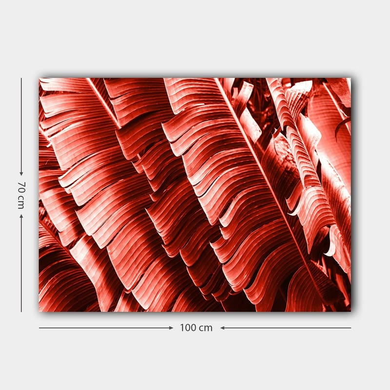 Canvastavla 70x100 cm - Abstrakt komposition av växtblad i djupa röda nyanser - Röd / Mörkröd - Inredning - Tavlor & konst - Canvastavlor