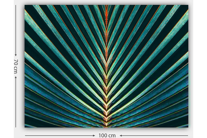 Canvastavla 70x100 cm - Abstrakt komposition av palmblad med tydliga linjer och symmetri - Mörkgrön / Turkos / Orange - Inredning - Tavlor & konst - Canvastavlor