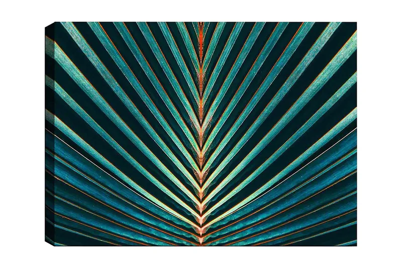 Canvastavla 70x100 cm - Abstrakt komposition av palmblad med tydliga linjer och symmetri, Mörkgrön / Turkos / Orange
