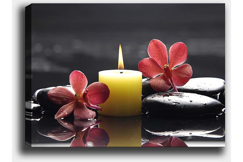 Canvastavla 70x100 cm - Avkopplande komposition med en tänd ljuslykta, svarta stenar och rosa blommor - Gul / Rosa / Svart - Inredning - Tavlor & konst - Canvastavlor