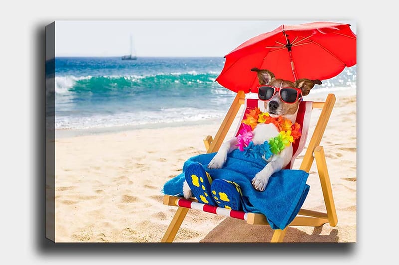 Canvastavla 70x100 cm - Avslappnad hund som njuter av solen på en strandstol under ett parasoll, Röd / Blå / Gul