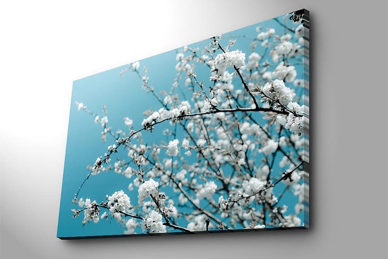 Canvastavla 70x100 cm - Blommande grenar mot en klar, blå bakgrund - Vit / Ljusblå - Inredning - Tavlor & konst - Canvastavlor