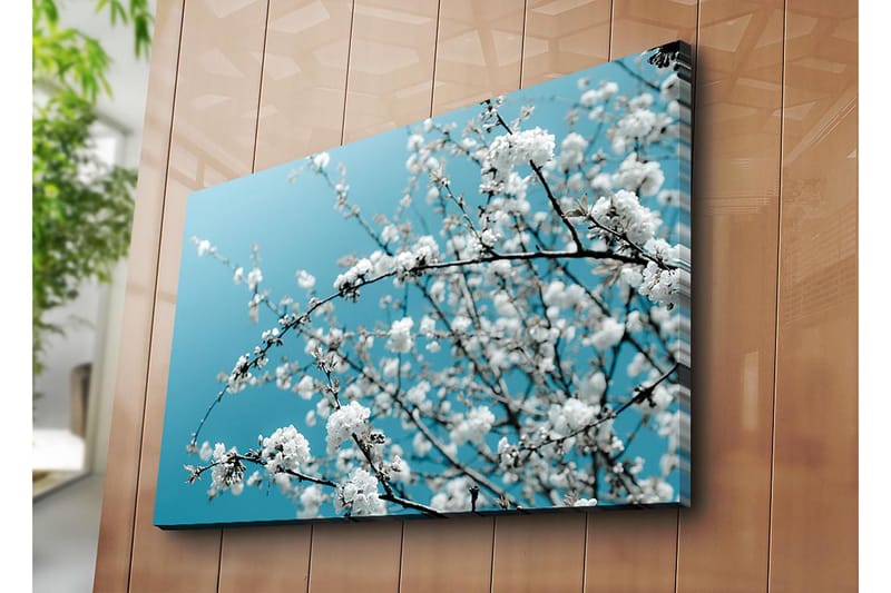 Canvastavla 70x100 cm - Blommande grenar mot en klar, blå bakgrund - Vit / Ljusblå - Inredning - Tavlor & konst - Canvastavlor