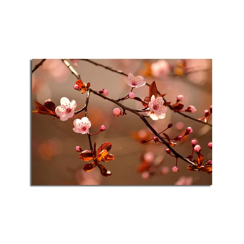 Canvastavla 70x100 cm - Blommande körsbärsgrenar med rosa blommor och bruna blad - Rosa / Brun - Inredning - Tavlor & konst - Canvastavlor