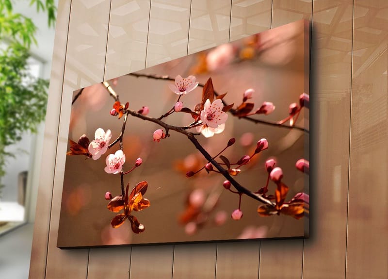 Canvastavla 70x100 cm - Blommande körsbärsgrenar med rosa blommor och bruna blad - Rosa / Brun - Inredning - Tavlor & konst - Canvastavlor