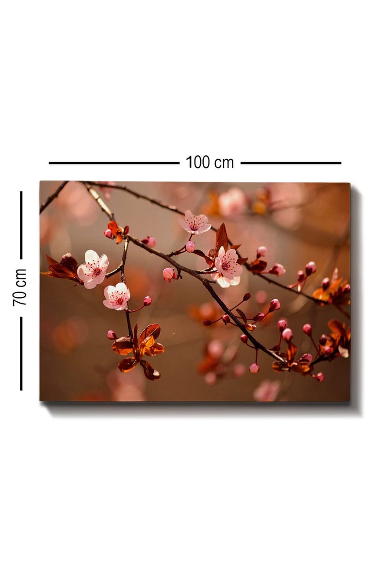 Canvastavla 70x100 cm - Blommande körsbärsgrenar med rosa blommor och knoppar - Rosa / Brun / Mörkröd - Inredning - Tavlor & konst - Canvastavlor