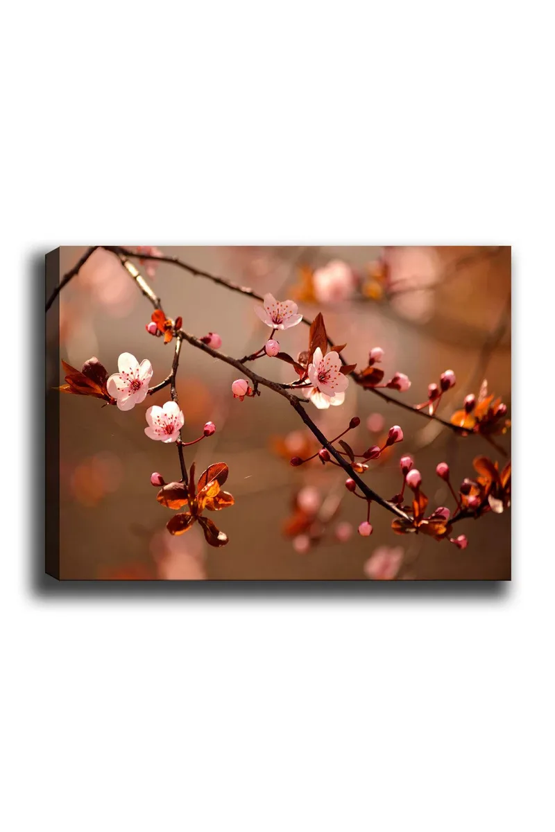 Canvastavla 70x100 cm - Blommande körsbärsgrenar med rosa blommor och knoppar, Rosa / Brun / Mörkröd