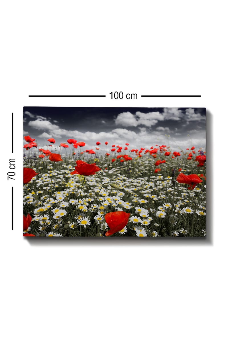Canvastavla 70x100 cm - Blomsteräng med röda vallmo och vita prästkragar som skapar en kontrasterande och livfull komposition - Röd / Vit - Inredning - Tavlor & konst - Canvastavlor