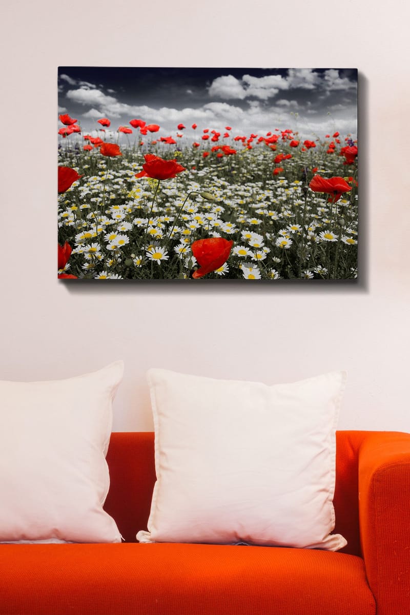 Canvastavla 70x100 cm - Blomsteräng med röda vallmo och vita prästkragar som skapar en kontrasterande och livfull komposition - Röd / Vit - Inredning - Tavlor & konst - Canvastavlor