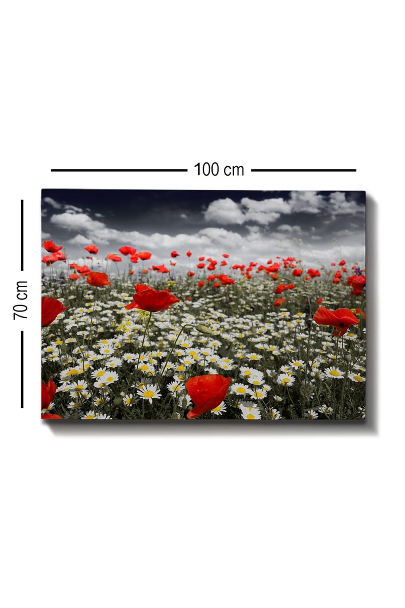 Canvastavla 70x100 cm - Blomsteräng med röda vallmo och vita prästkragar som skapar en kontrasterande och livfull komposition - Röd / Vit - Inredning - Tavlor & konst - Canvastavlor