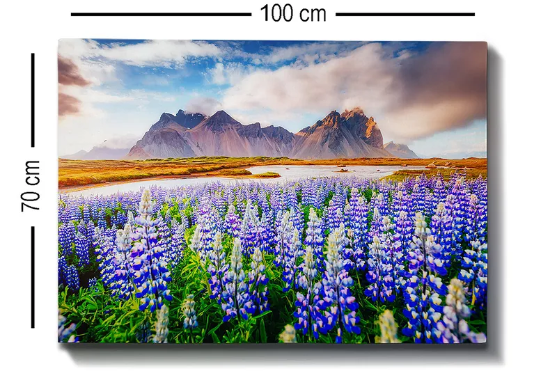 Canvastavla 70x100 cm - Blomstrande äng med lupiner i olika nyanser av blått och vitt, omgiven av majestätiska berg i bakgrunden - Blå / Vit / Grön - Inredning - Tavlor & konst - Canvastavlor