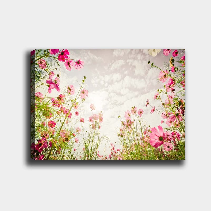 Canvastavla 70x100 cm - Blomstrande äng med rosa blommor som sträcker sig mot en ljus himmel - Rosa / Grön - Inredning - Tavlor & konst - Canvastavlor