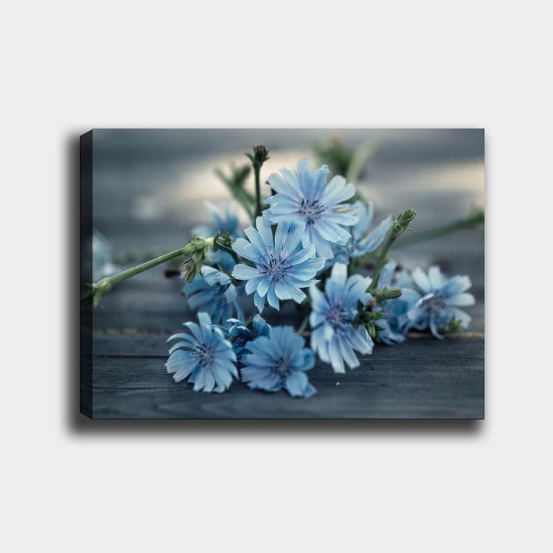 Canvastavla 70x100 cm - Bukett av ljusblå blommor som ligger på en mörk yta, Ljusblå / Grön