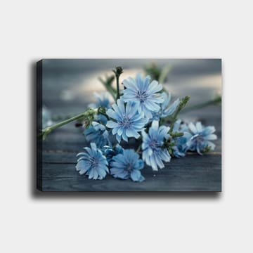 Canvastavla 70x100 cm - Bukett av ljusblå blommor som ligger på en mörk yta - Ljusblå / Grön - Inredning - Tavlor & konst - Canvastavlor